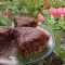 Vegan Chocolate Sponge Cake