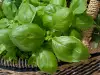 How to Dry Basil