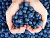 What are Blueberries Good for?