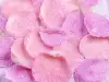 How to Make Candied Rose Petals?