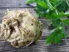 How to Store Celery Roots?