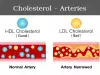 What is Meant by Total Cholesterol?