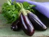 Can Eggplants be Frozen in the Freezer?