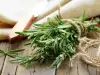 How to Store Fresh Rosemary?