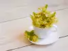 How to Dry Linden Flowers