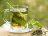 Nettle Water - Uses and All Benefits