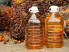 Palm oil raises cholesterol