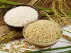 Some History of Rice