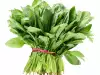 How to Store Fresh Spinach?