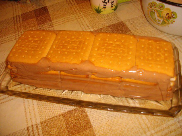 Biscuit Roll in a Cake Form