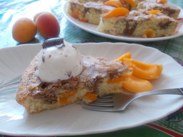 Retro Cake with Apricots