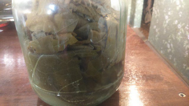 Vine Leaves in Jars
