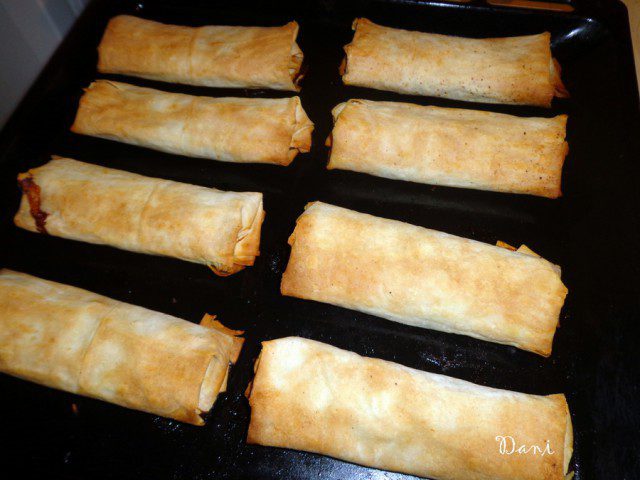 Phyllo Pastry Burritos with Chicken