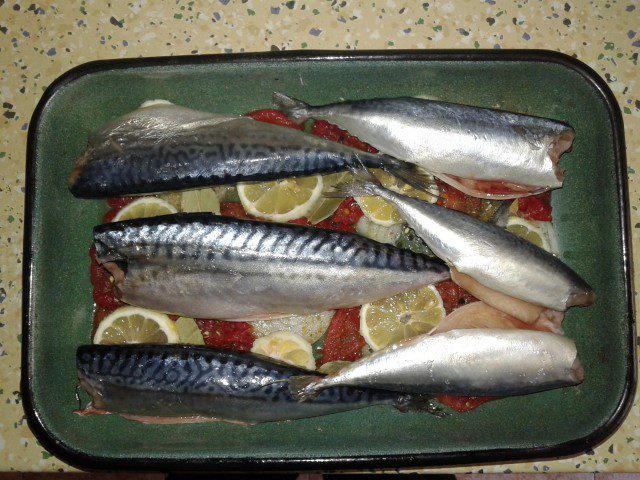 Small Mackerel in the Oven