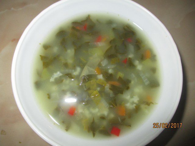 Tasty Spinach Soup with Carrots and Tomatoes