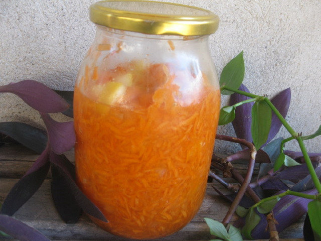 Carrot, Honey and Lemon Health Elixir