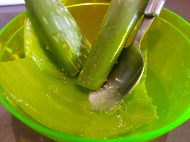Natural Aloe Vera Extract for Cosmetic Purposes