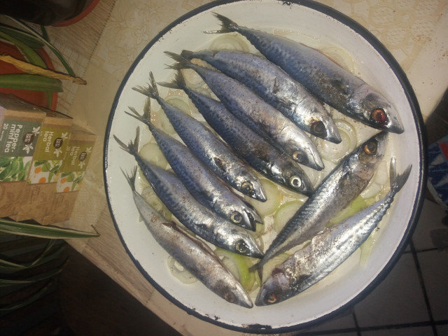 Small Mackerel in the Oven