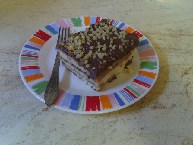 Cake with Ladyfingers, Coffee and Two Types of Pudding