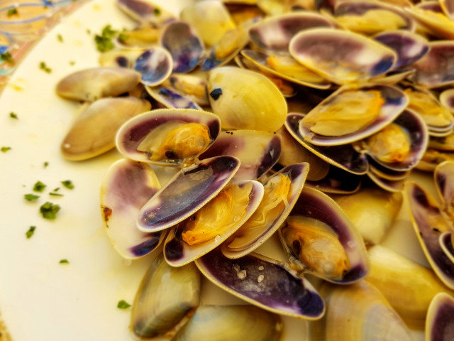 Pan-Fried Donax Mussels