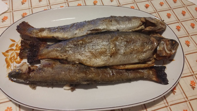 Oven Baked Trout