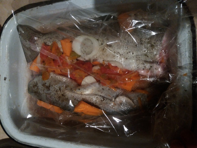 Uniquely Tasty Trout in a Baking Bag