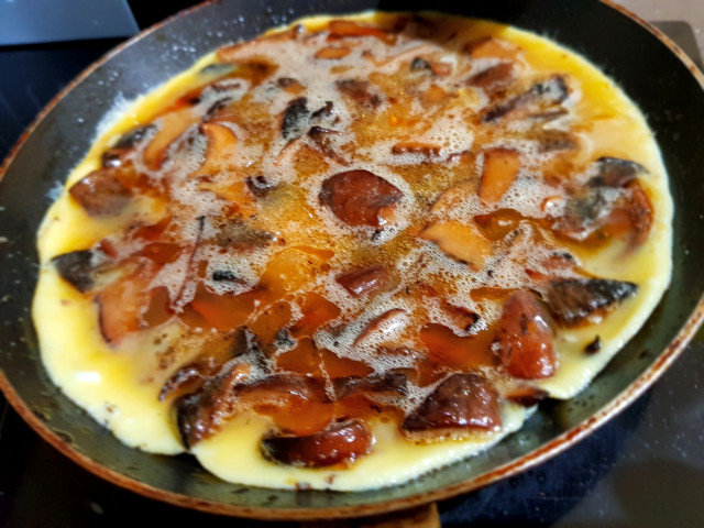 Tortilla with Saffron Milkcap