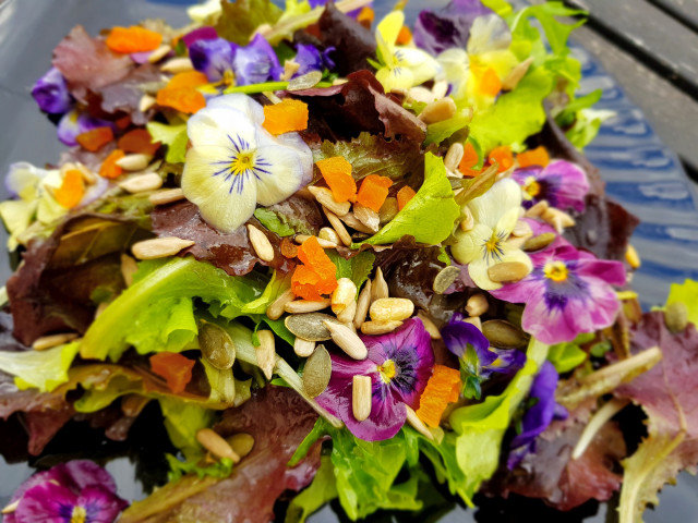 Violet Salad