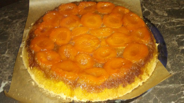 Retro Sponge Cake with Apricots