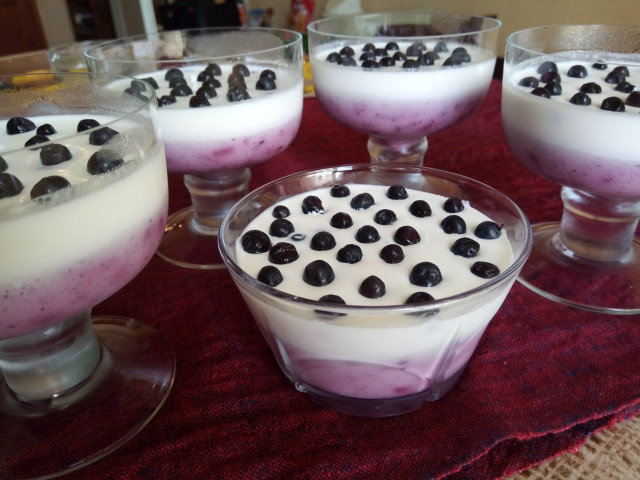 Panna Cotta with Blueberries and White Chocolate