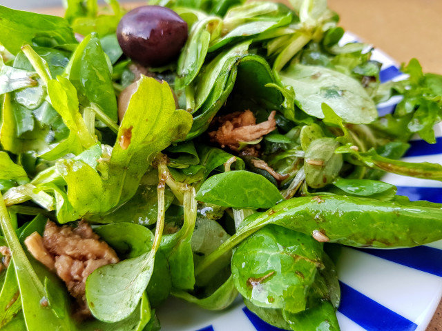 Tuna Salad with Valerian, Arugula and Spinach