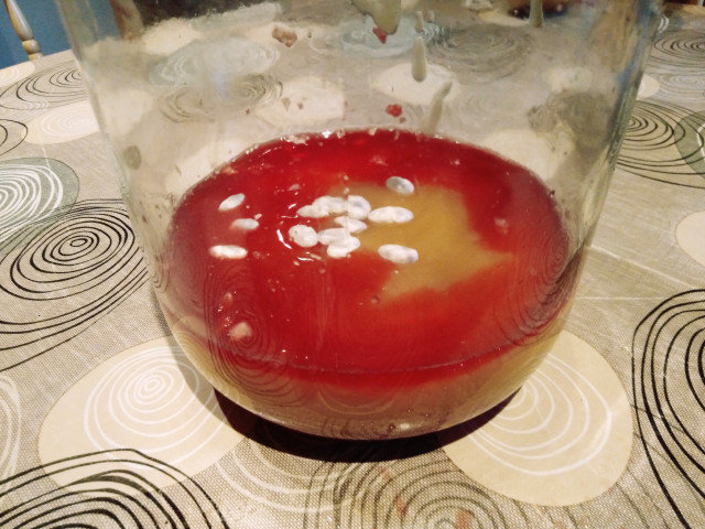 Homemade Pomegranate Vinegar