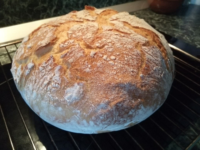 No-Knead Bread with Crunchy Crust