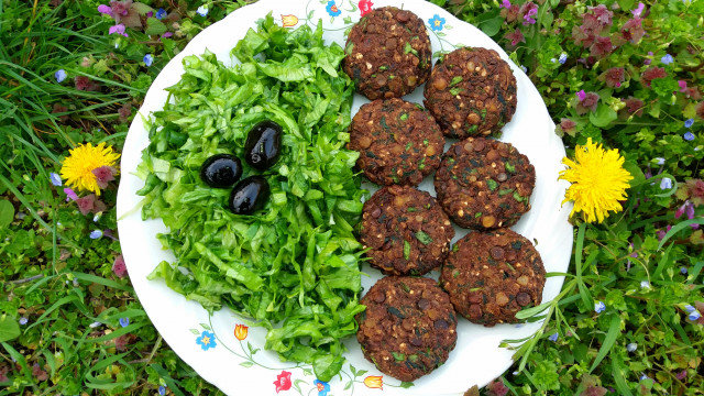 Lentil and Spinach Patties