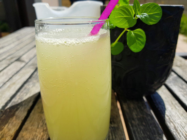 Alkaline Drink with Lemon, Ginger and Mint