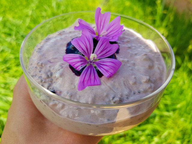 Healthy Pudding with Chia and Blueberries