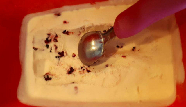 Homemade Gelato Ice Cream