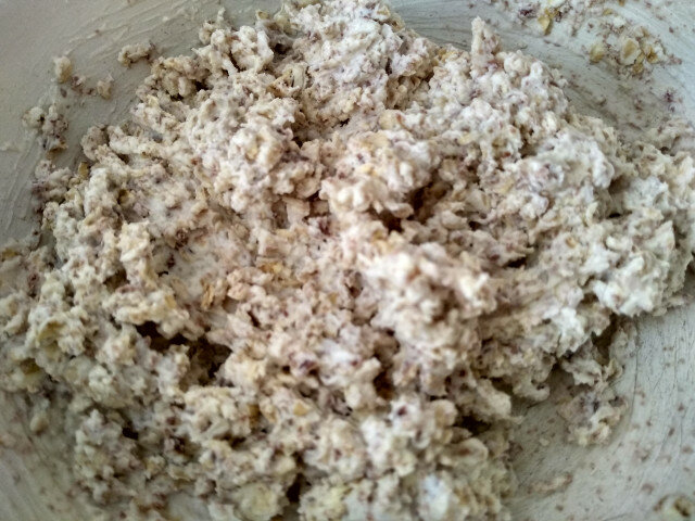 Protein Sweets with Cottage Cheese and Coconut Shavings