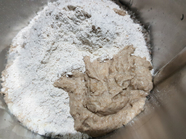 Rye Sourdough Dough