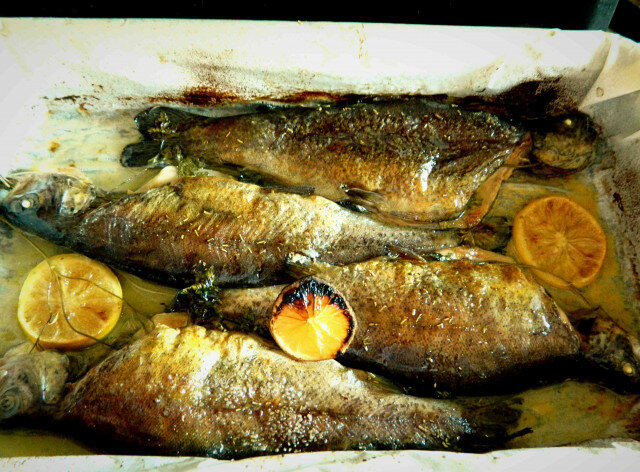 Oven-Baked Trout