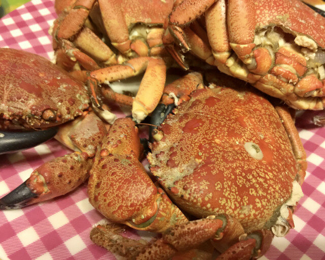 Fresh Sea Crabs