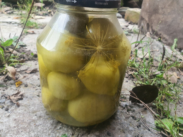 Jarred and Pickled Green Tomatoes