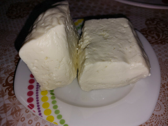 Homemade Sheep Milk Cheese