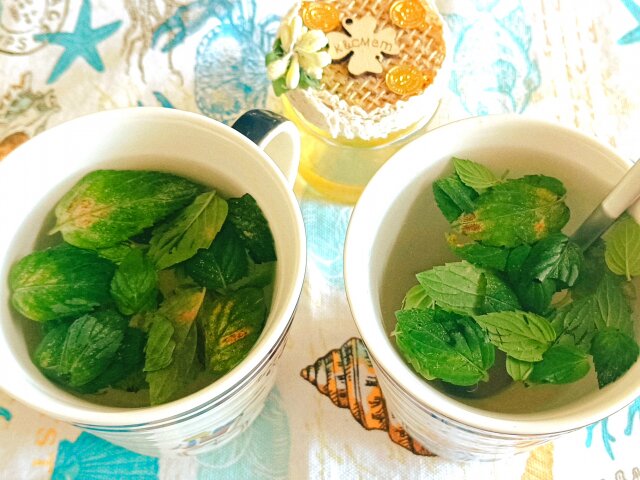 Refreshing Mint and Honey Tea