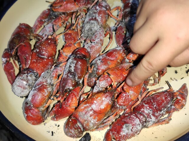 Grilled Crayfish