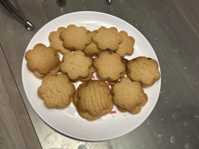 Plain Biscuits