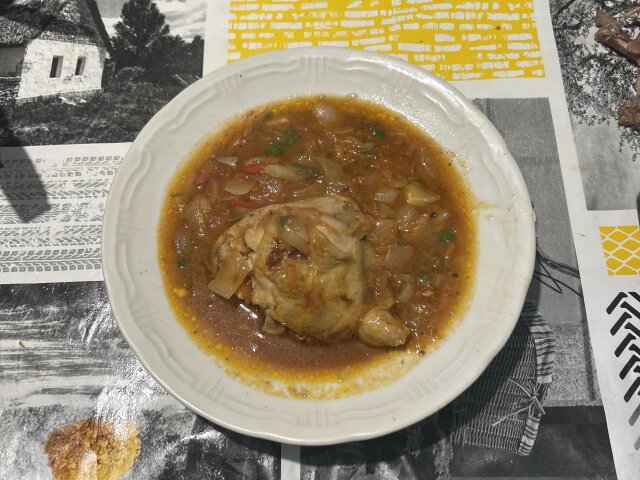 Chicken Onion Stew